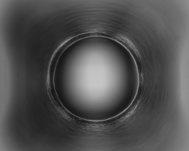 X0000097950780200803241153