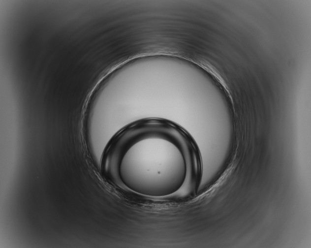 X0000097950781200803241153