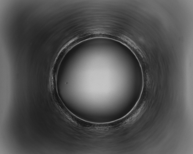 X0000097950782200803241153