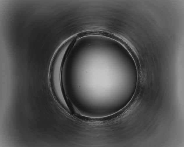 X0000097950783200803241152