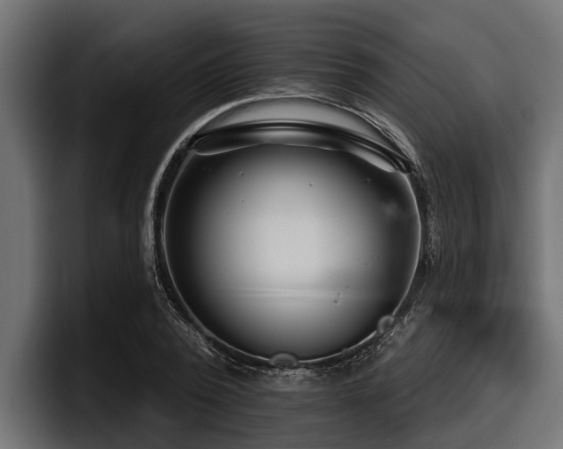 X0000097950784200803241152