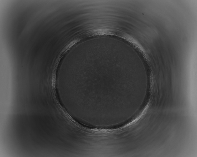 X0000097950785200803241152