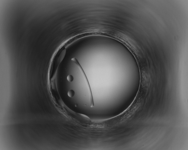 X0000097950788200803241152