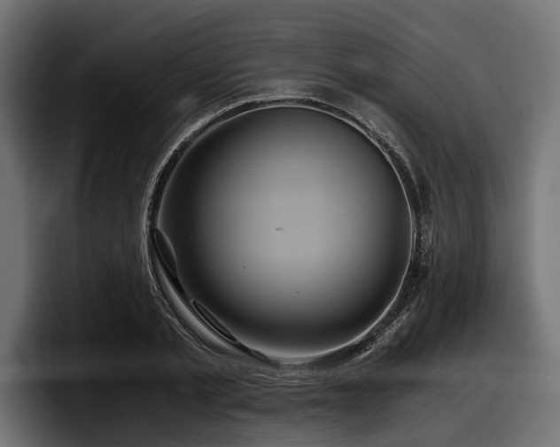 X0000097950789200803241152