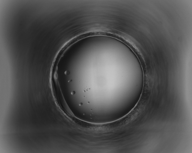 X0000097950791200803241152