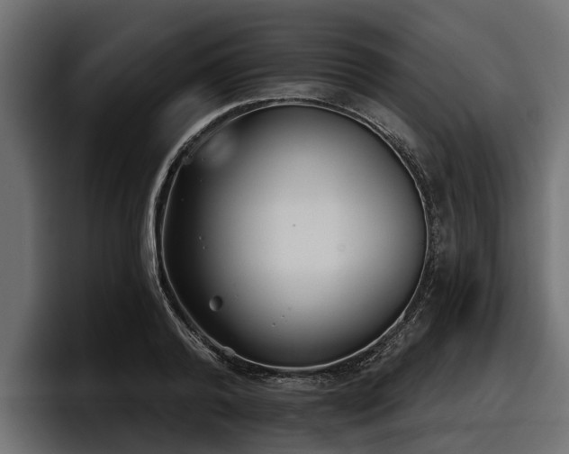 X0000097950792200803241152