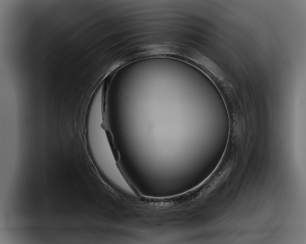 X0000097950793200803241152