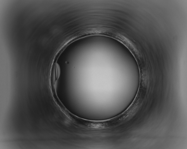X0000097950794200803241152