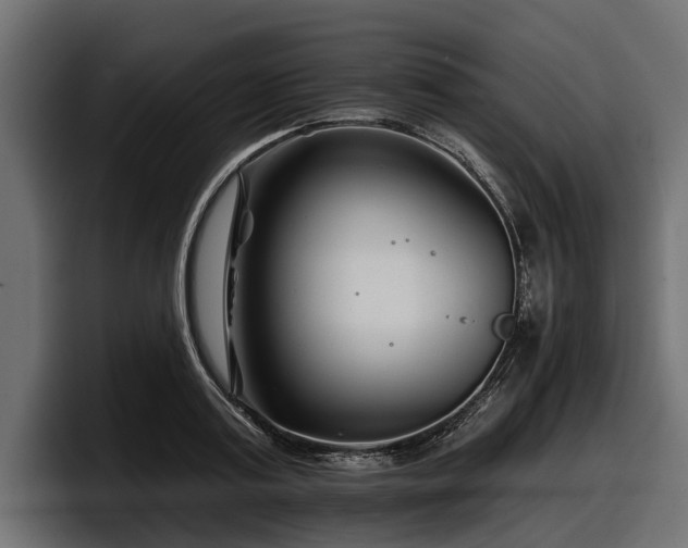 X0000097950795200803241152