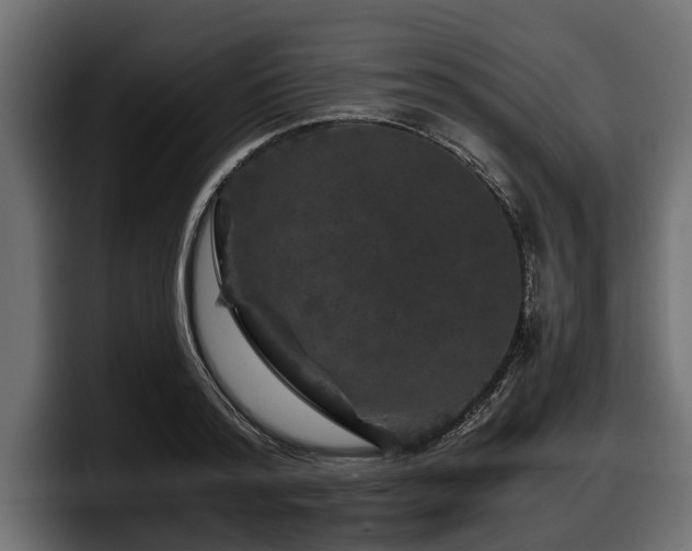 X0000097950796200803241152