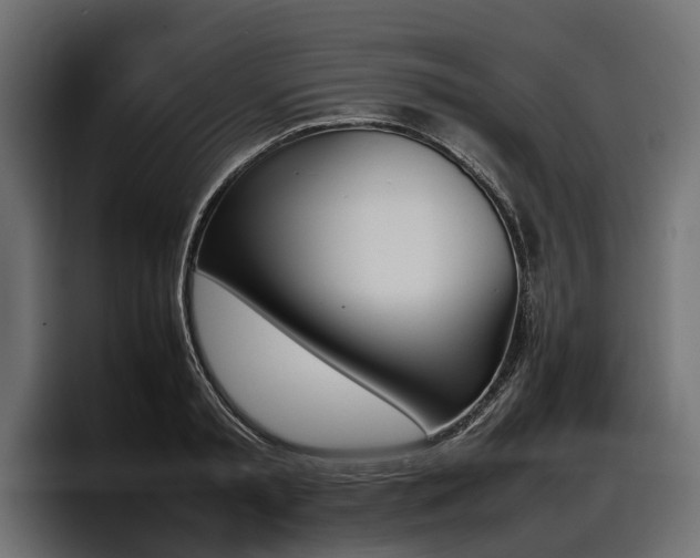 X0000097950797200803241152