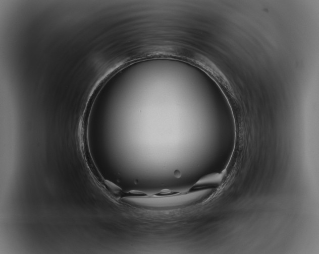 X0000097950798200803241152