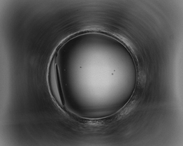 X0000097950799200803241152