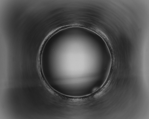 X0000097950800200803241152