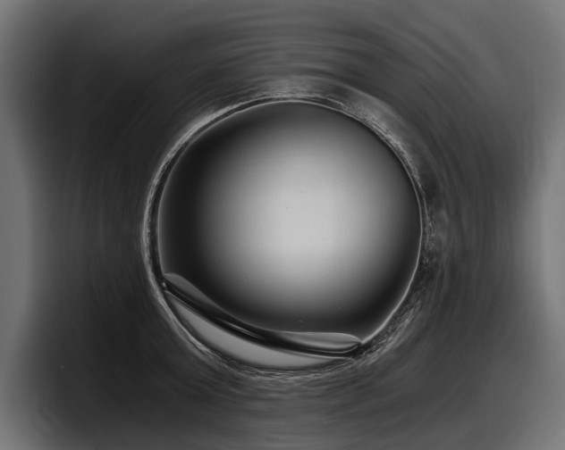 X0000097950803200803241152