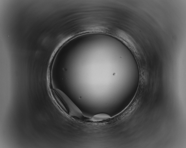 X0000097950804200803241152