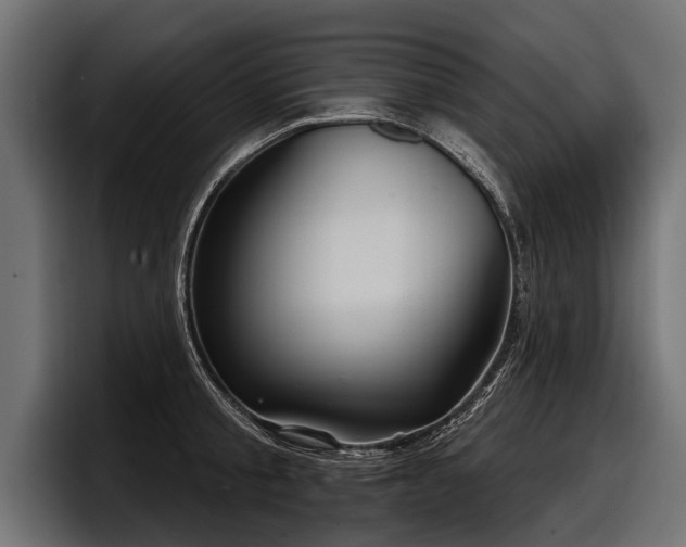 X0000097950805200803241152