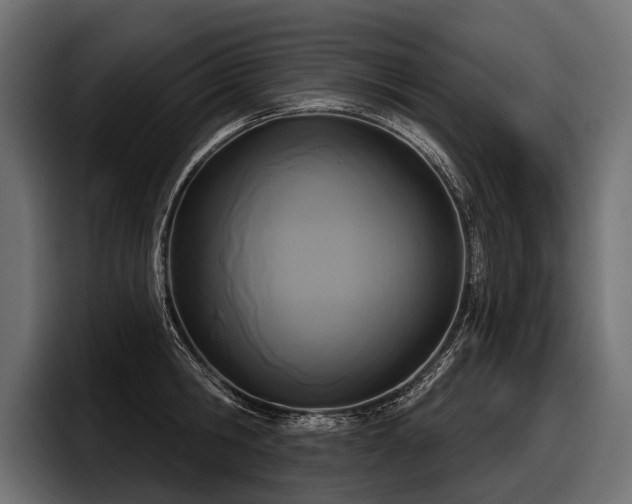 X0000097950806200803241152