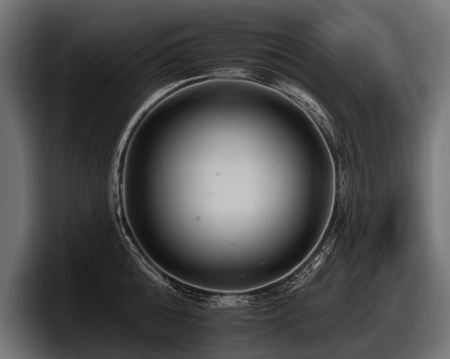 X0000097950808200803241152