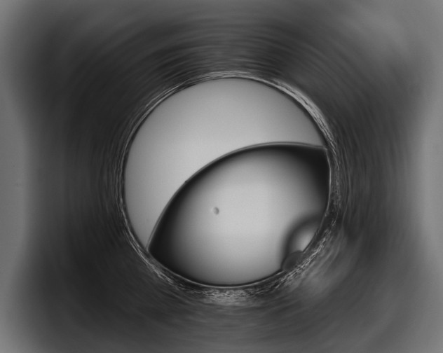 X0000097950809200803241152
