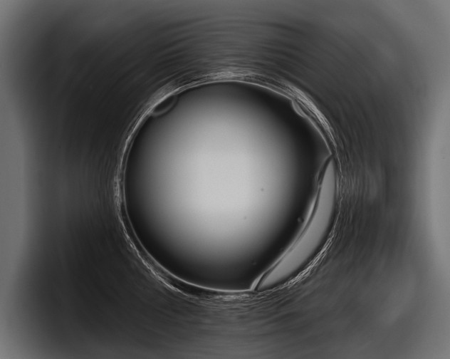 X0000097950810200803241152