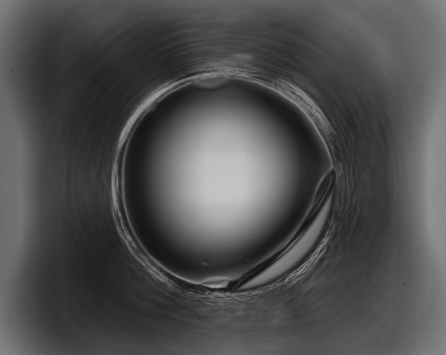 X0000097950812200803241152
