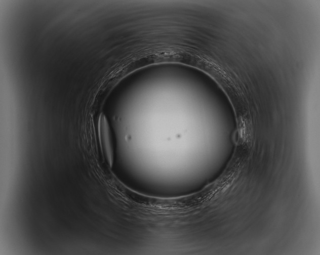 X0000097950819200803241151