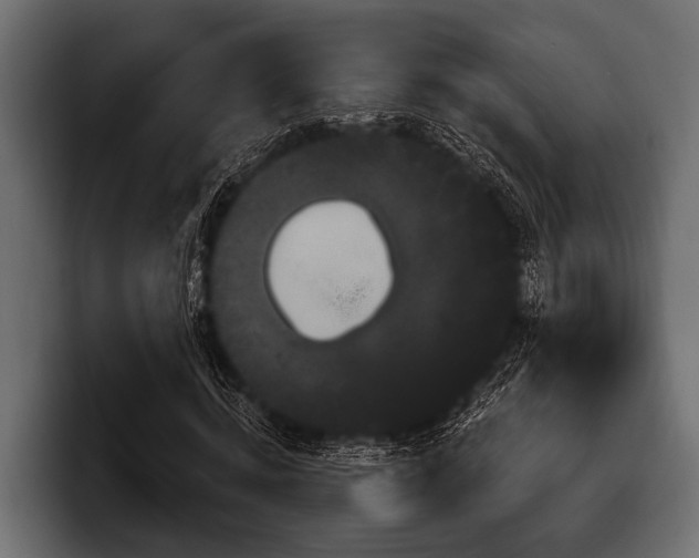 X0000097950820200803241151