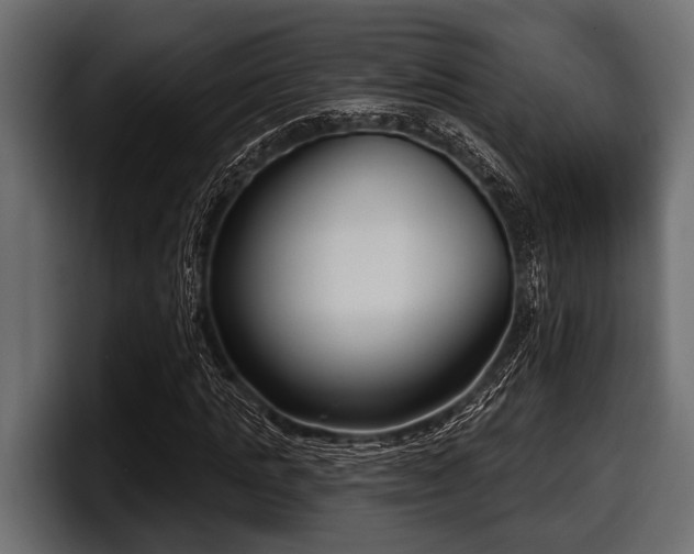 X0000097950821200803241151