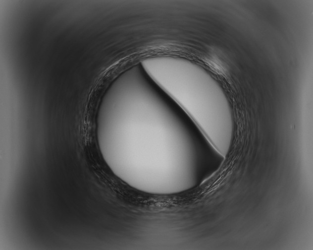 X0000097950822200803241152