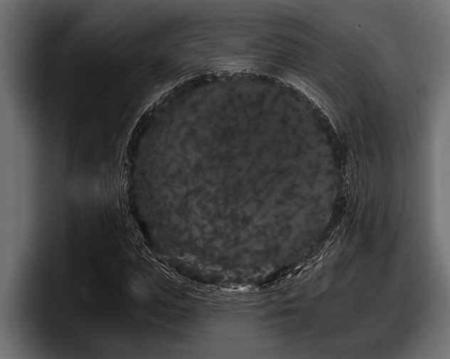 X0000097950823200803241152