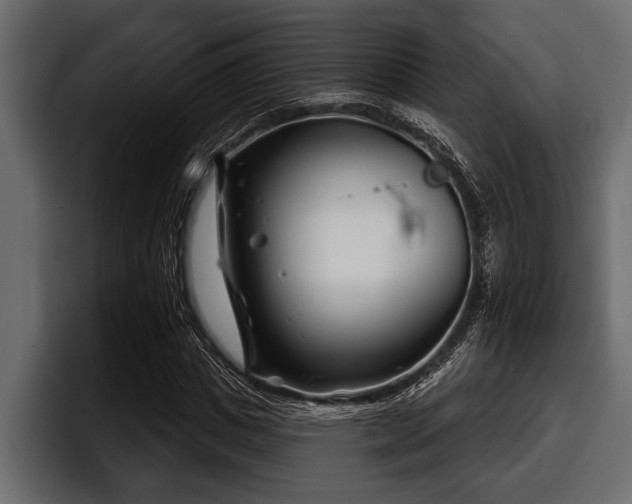 X0000097950825200803241152