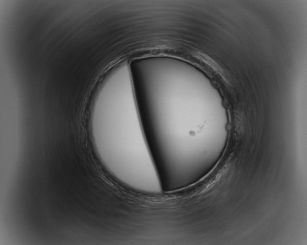 X0000097950826200803241152