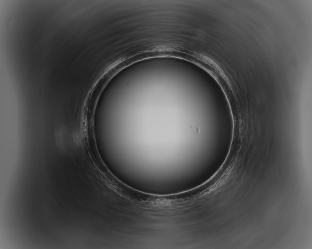 X0000097950827200803241152