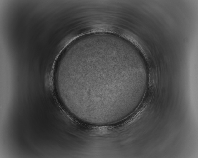 X0000097950828200803241152