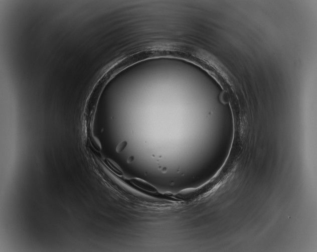 X0000097950829200803241152