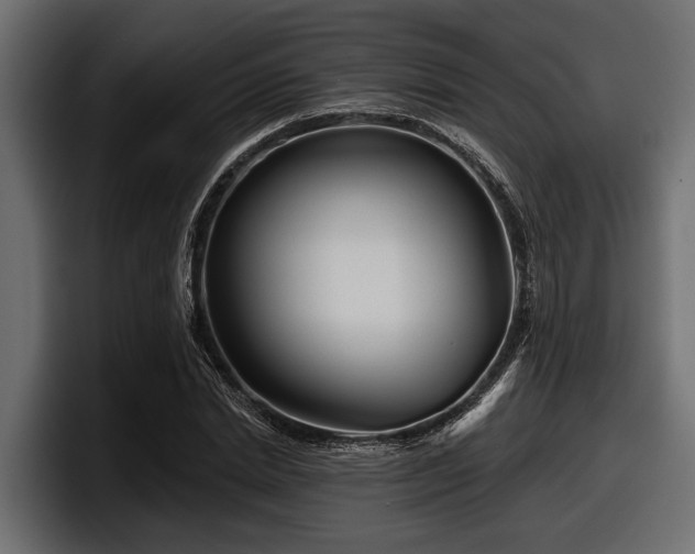 X0000097950830200803241152