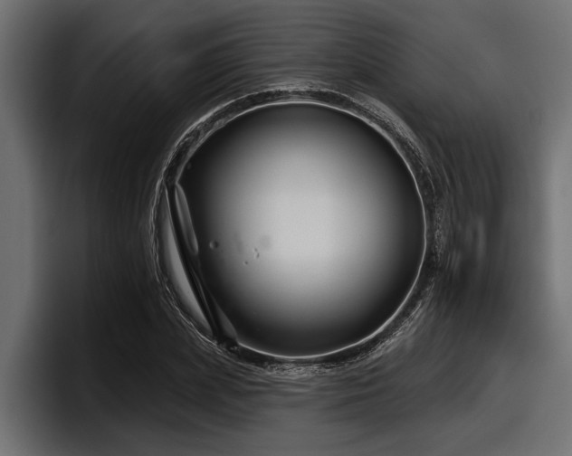 X0000097950831200803241152