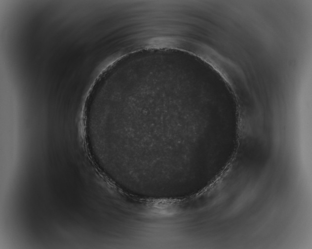 X0000097950832200803241152
