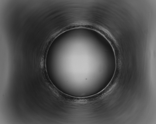 X0000097950833200803241152