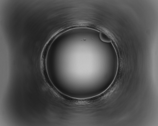 X0000097950835200803241152