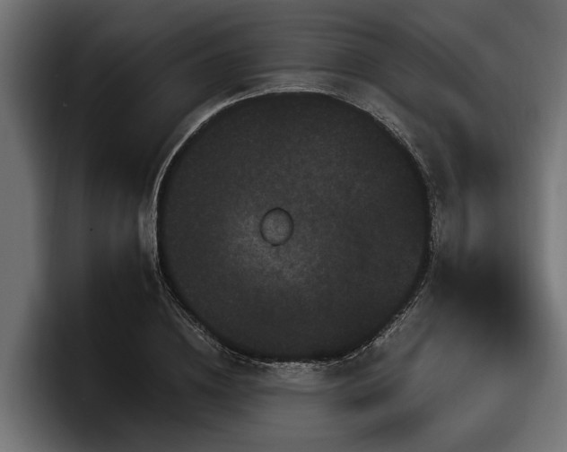 X0000097950836200803241152