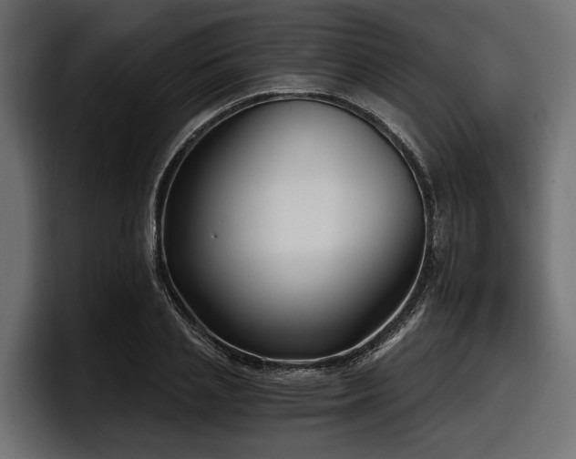 X0000097950837200803241152