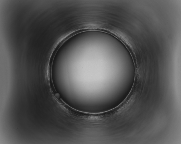 X0000097950839200803241152