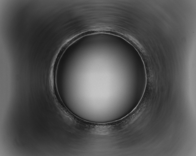 X0000097950840200803241152