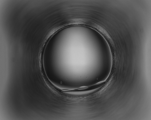 X0000097950842200803241152
