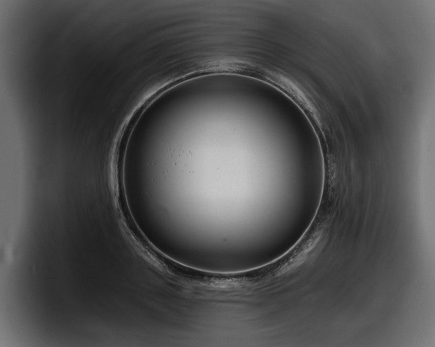 X0000097950843200803241152