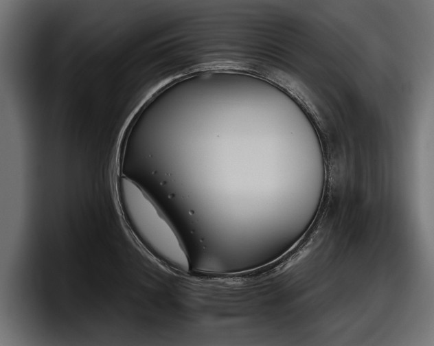 X0000097950844200803241152