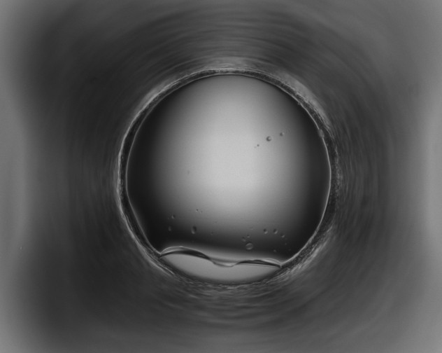 X0000097950845200803241152