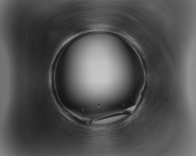 X0000097950846200803241152